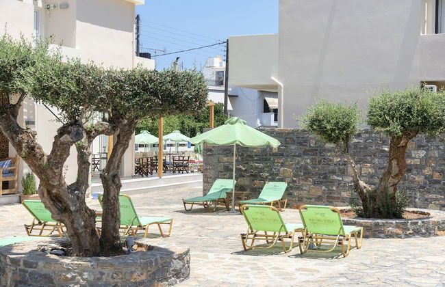 Olive Grove - Foto 31