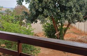 Casa em Igarape - Photo 11