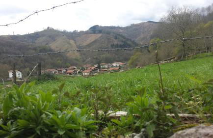 Alberroakoborda - Foto 22