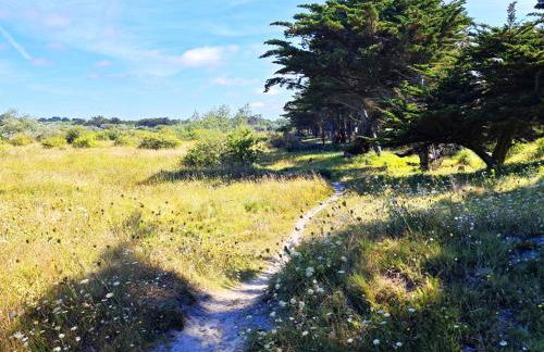 Charmante longère bigoudène - Photo 43