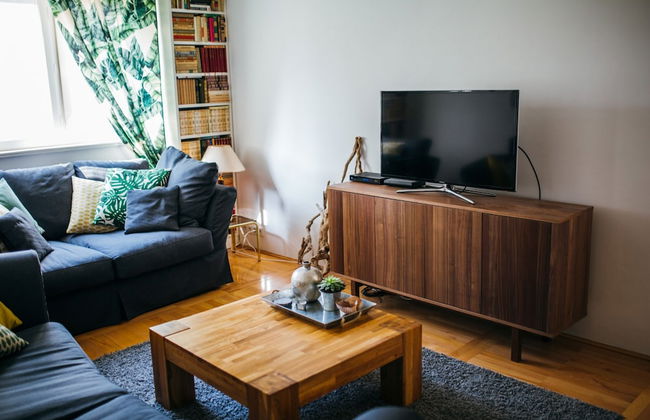 Cozy apt Within Walk Distance to Center and Beach - Photo 7