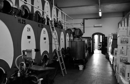 Azienda Agricola e Agriturismo Vallorsi - Foto 58