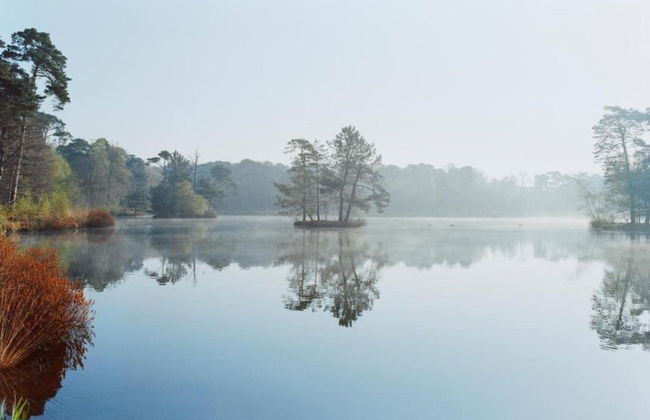 Holiday Home in Haaren Near De Efteling - Foto 40