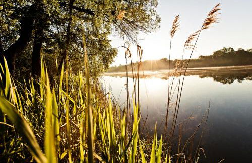Appartementhaus Bavaria - Foto 41