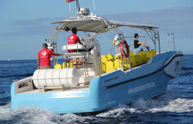 Balade en bateau à Los Órganos et à l'ouest de La Gomera - Photo 3