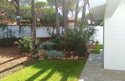 Diseño y luz entre los pinos - Foto 44