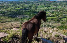 Lau Haizeak Meublé 3 étoiles Ascain - Foto 18