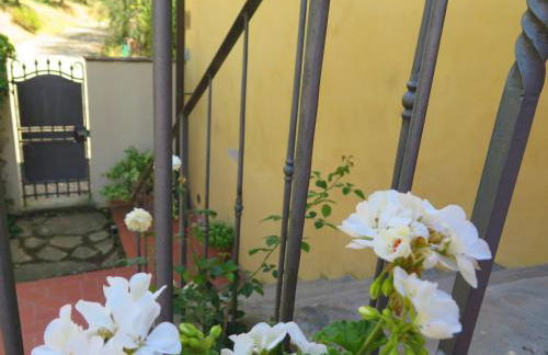 La Casa delle Rose - Photo 56