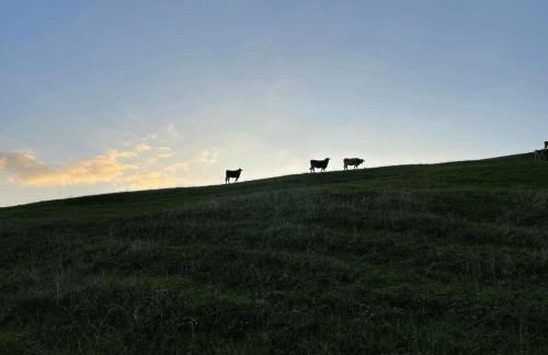 Angelas Ferienwohnungen Oberstaufen - Foto 37