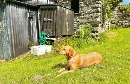 5 Bed in Kendal oc-88095 - Foto 32