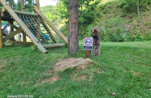 Loft Confort Praia Brava - Itajaí Camboriú com piscina panorâmica - Foto 29