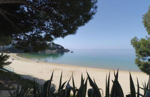 New Madrague Sun - Foto 54