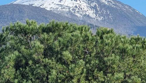 Casa vacanze VesuviusView - Foto 2