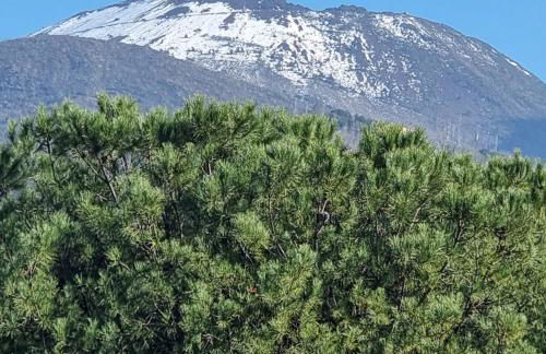 Casa vacanze VesuviusView - Foto 2