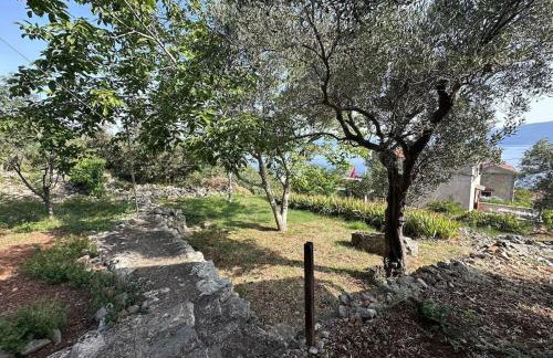 Stone Cottage Cesarovina - Foto 6