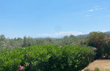 Georges Villa Galaxidi, family, pool and garden - Foto 54