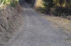 Margarita House - Photo 25