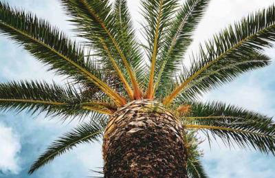 seaview apartment - villa a’more - Photo 5