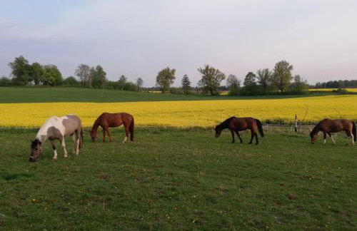 Folwark Malinowy Chruśniak - Foto 48