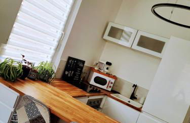 Hôte Stéphanois Studio & parking - Foto 34