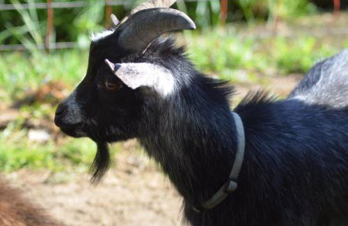 Ferienwohnung Süderfeld - Foto 16