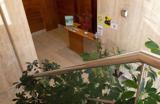 Ciudad de Lugo - Foto 17