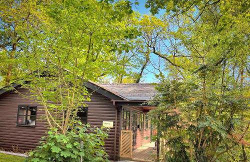 Shrew Lodge-woodland Lodges-Hot Tub-Pembrokeshire-Tenby - Foto 1