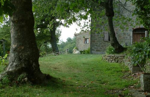 Agriturismo La Casina della Burraia - Foto 77