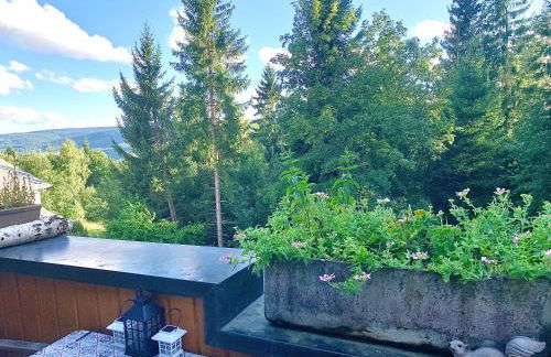 FeWo Fuchs Saig - Photo 15