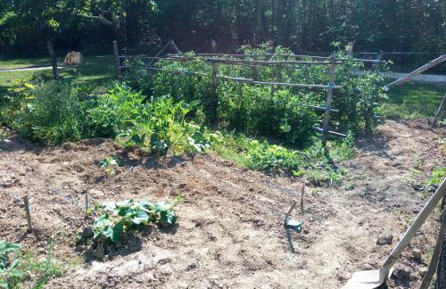 Les pruniers de la cipière - Foto 28