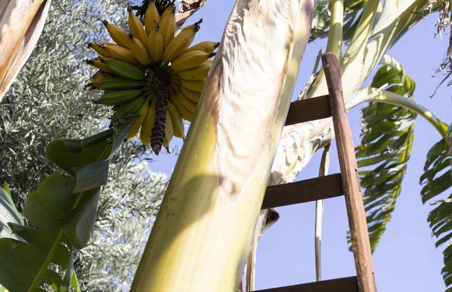 Casale Della Pergola Eco-friendly by the sea - Foto 52