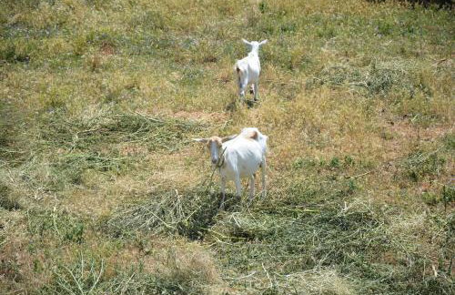 Apartman Marija - Photo 51