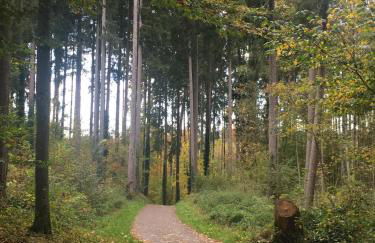 Ferienhof Weber Nieratz - Foto 33