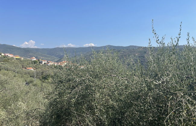 Casa Maria (DOL135) - Foto 21