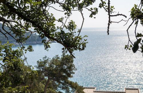 Guest House Kralj - Photo 35