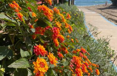 Buena Vista Apartment, 3 bedrooms - Foto 49