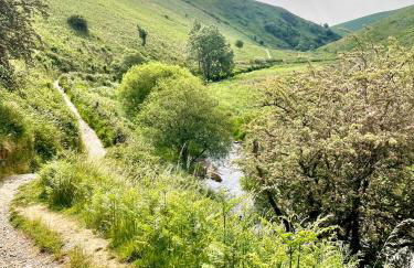 Winstitchen Cottage situated near the River Barle - Foto 37