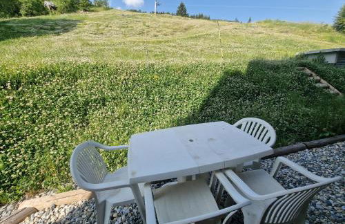 ski au pied, 3ch 2Sdb Garage Terrasse - Foto 66