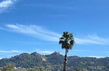 Palmeirinha Guest House - Foto 31