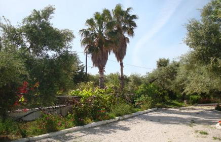 Calamon Apartments - Foto 22