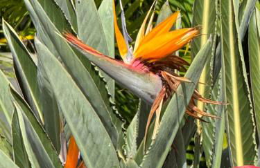 Shores at Waikoloa 132 Hale Kai - Foto 67