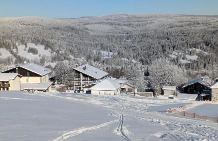 Apartmán Almberg - Mitterdorf - Mitterfirmiansrout - Foto 24