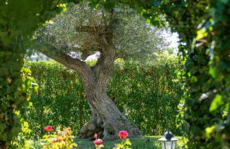 Cas Metge Matas - Foto 53