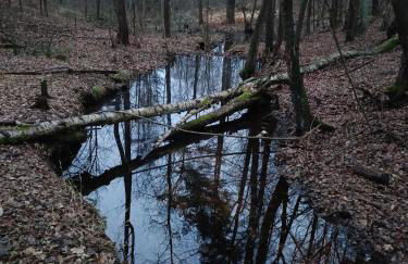 2R Relax Resort - Foto 22