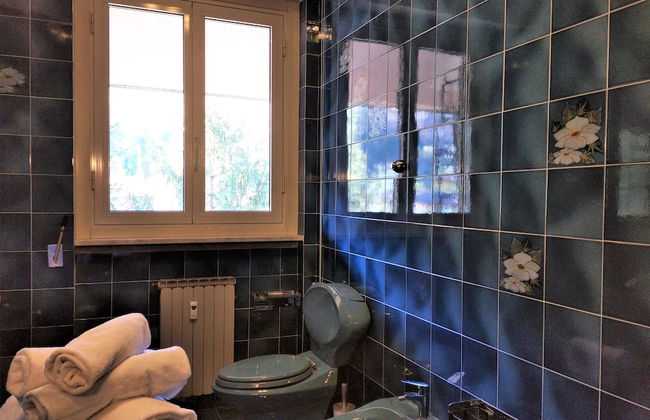 Pettirosso - Photo 20