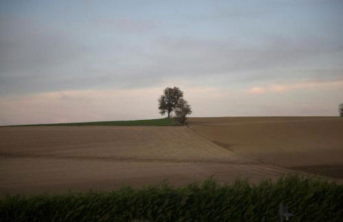 Osteria dei Segreti - Foto 96