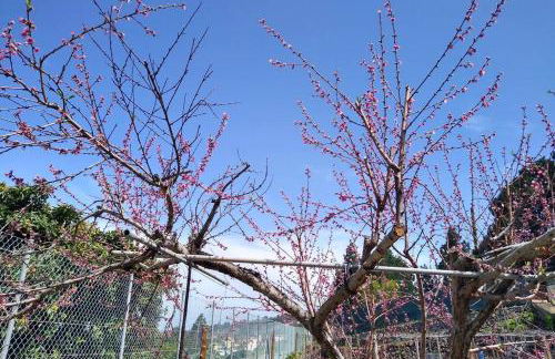 LA TAGORA Conect with the nature & relax - Foto 38