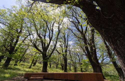 Hani Kastania - Chania retreat for families and groups for holidays and workshops - Foto 25