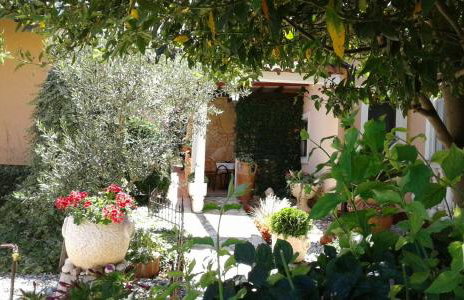 Apartments Vintijan - Foto 72