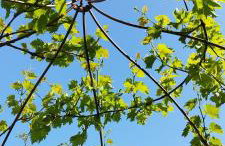 SUMMER TIME - Foto 41